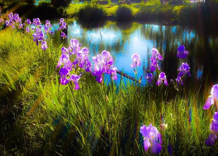 Di Andrea * Valeggio sul Mincio